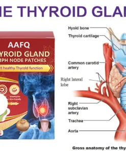 AAFQ Thyroid Gland Lymph Nodes Patches