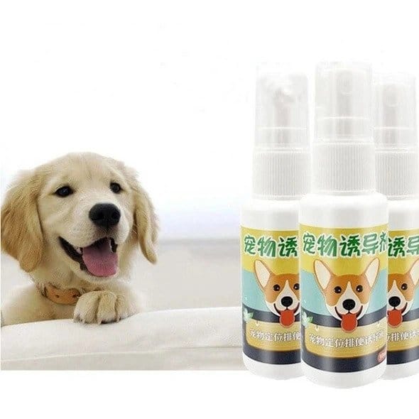 Pet Toilet Training Aid