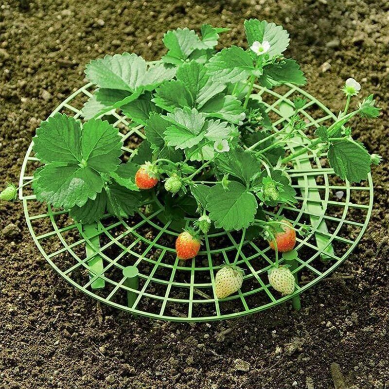 Strawberry Planting Support Frame