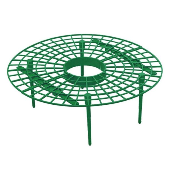 Strawberry Planting Support Frame