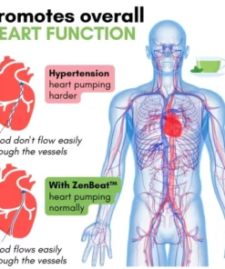 ZenBeat Blood Pressure Tea