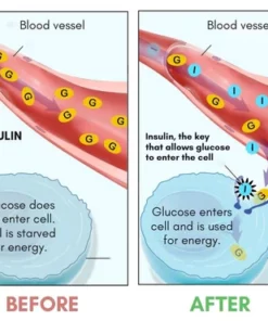 Althea Blood Sugar-Regulating Socks