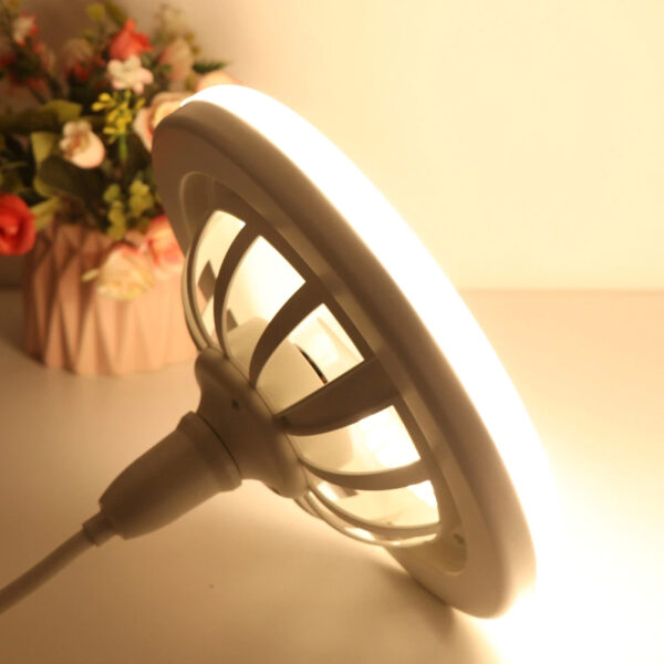 Remote Control Ceiling Fan Lamp