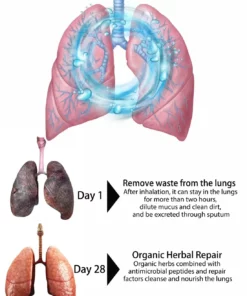 ToNatureŽ Organic Herbal Lung Cleansing Detoxifying Repair Ring