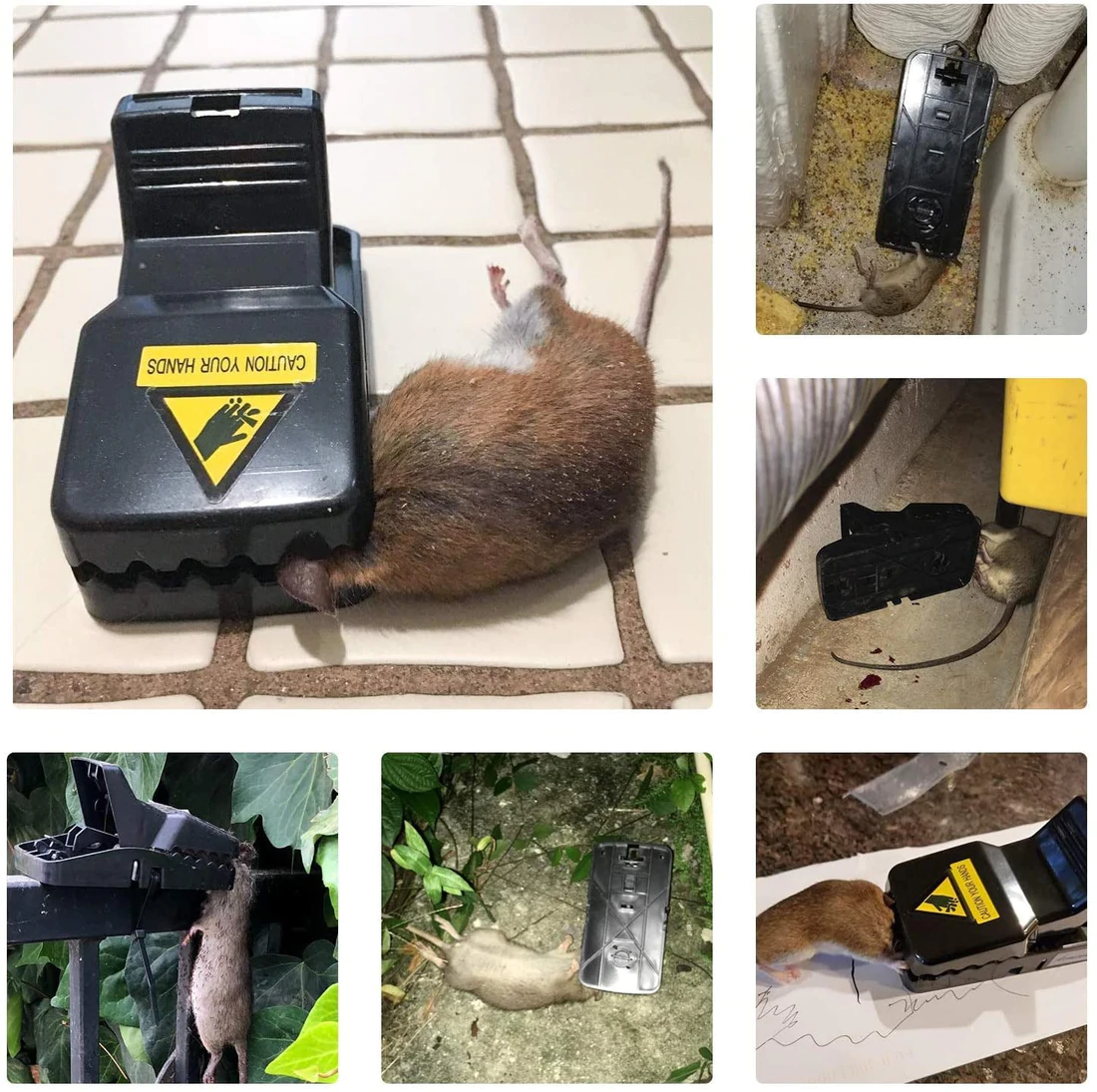 Highly Sensitive Reusable Mouse Traps