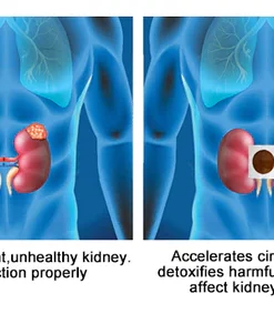 EasyRx Kidney Function Support Patches