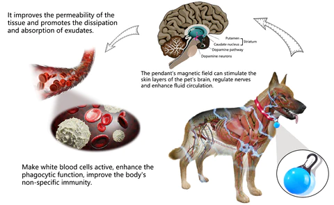 Negative Ion Electromagnetic Pet Pendant