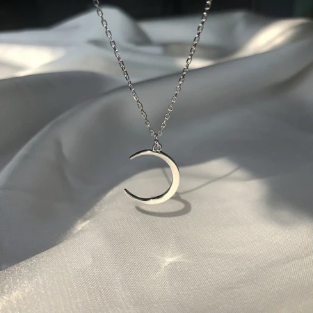 Gold & Silver Crescent Moon Necklace