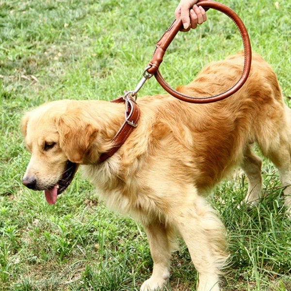 2-in-1 Rolled Leather Dog Collar & Leash