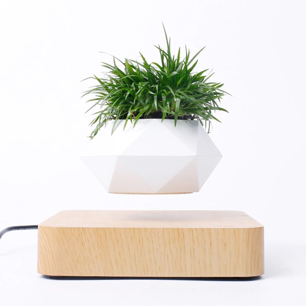 Magnetic Levitating Plant Pot For Bonsai, Real & Fake Plants