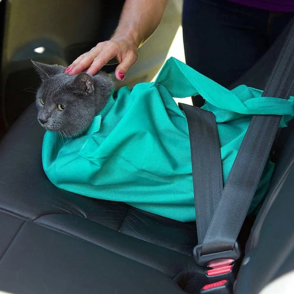 Perfect Cat Carrier Pouch Bag