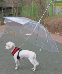 Rainproof Umbrella Dog Leash For Small Dogs