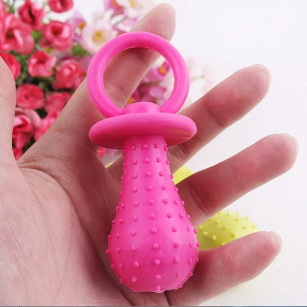 Dog Pacifier Chew Toy