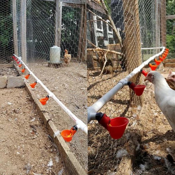 Automatic Chicken Water Cups For Buckets & PVC Pipes