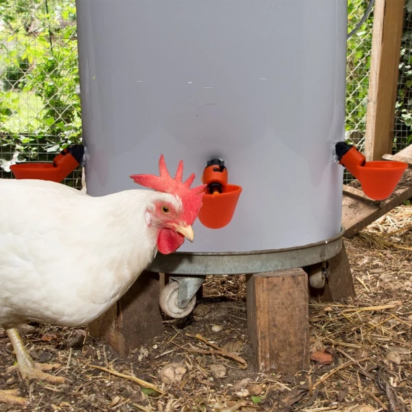 Automatic Chicken Water Cups For Buckets & PVC Pipes