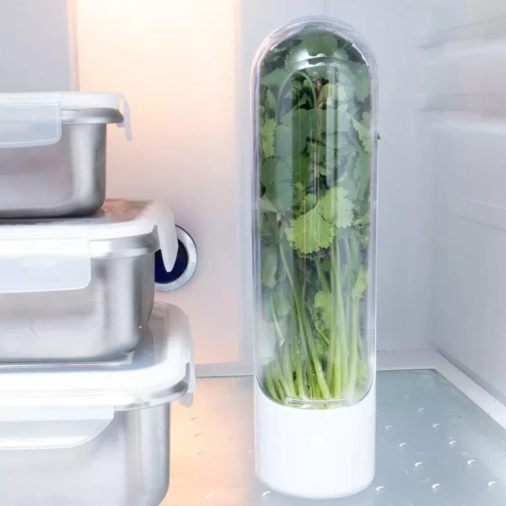 Glass Storage Container Fresh Herb Keeper