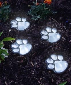 Paw Print Solar LED Garden Lights