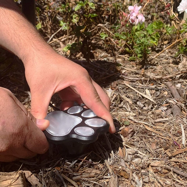 Paw Print Solar LED Garden Lights