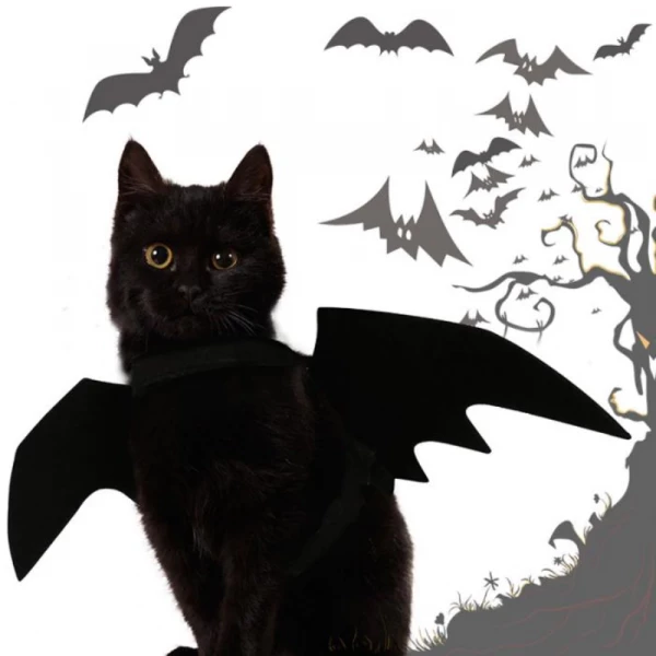 Black Cat Bat Wings