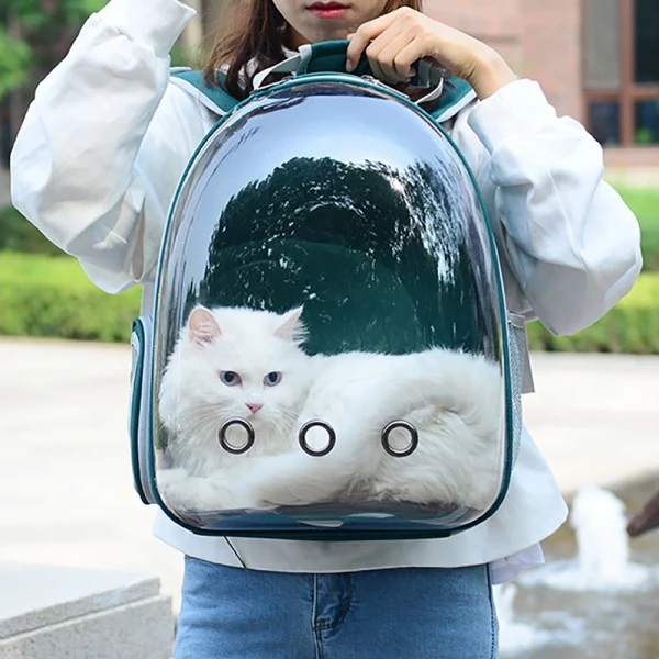 Cute Clear Cat Backpack Carrier