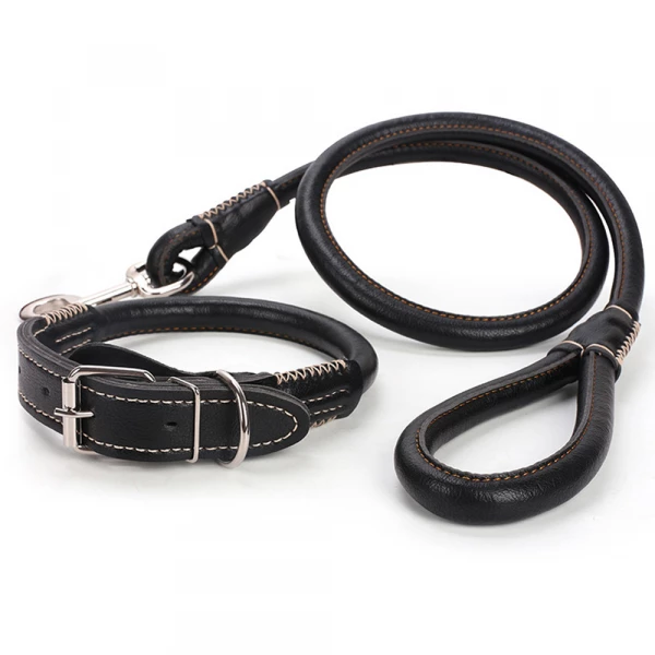 2-in-1 Rolled Leather Dog Collar & Leash