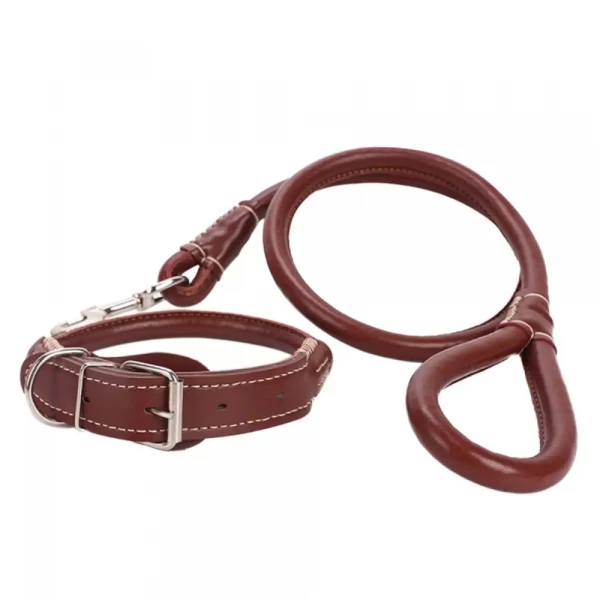 2-in-1 Rolled Leather Dog Collar & Leash