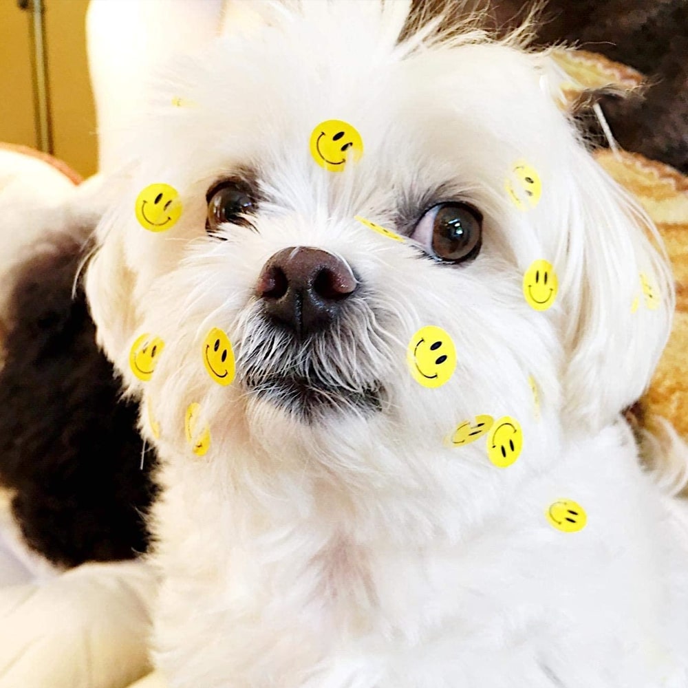 Multipurpose Smiley Face Sticker Roll