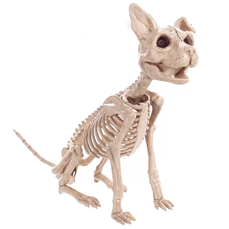 Animated Two Headed Skeleton Dog