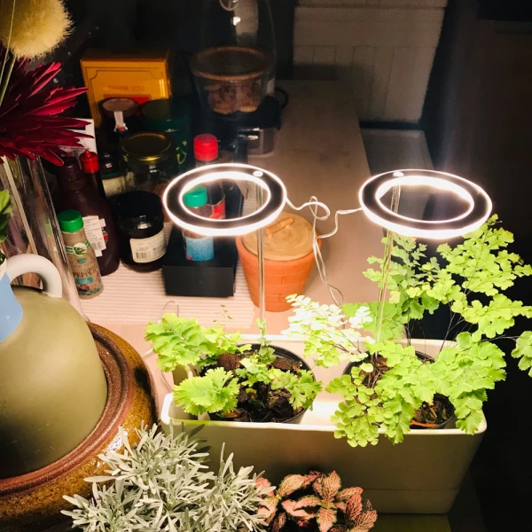 Grow Lights For Indoor Plants