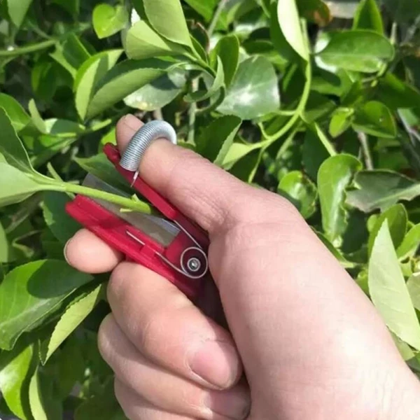 Multi-Use Thumb Knife For Fruits & Vegetable Harvesting