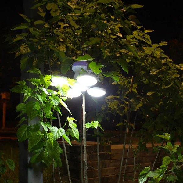 Folding Solar Lamp