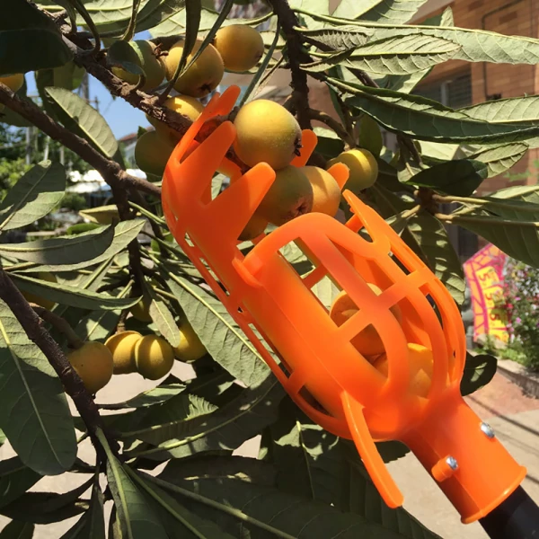 2-In-1 Fruit Picker & Basket