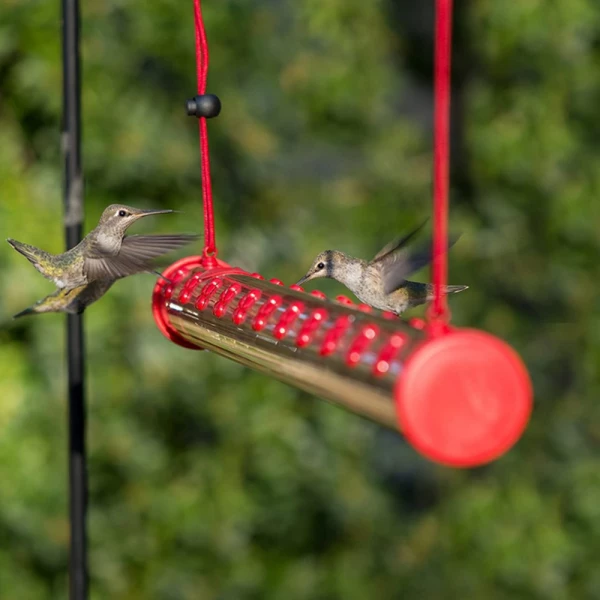 Birds Friends Hummingbird Feeder