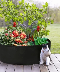 Easy Garden Fabric Raised Bed