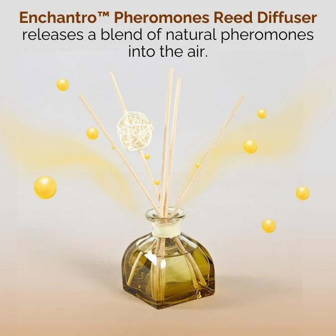 Enchantro Pheromones Reed Diffuser