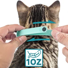 Electric Smart Amusing Collar for Kitten