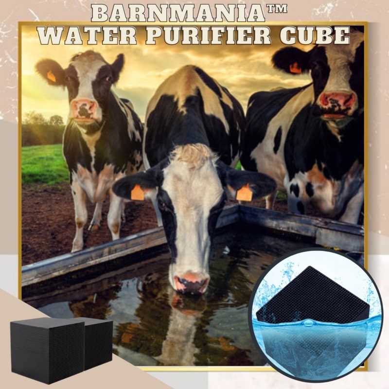 BarnMania Water Purifier Cube