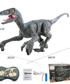 Remote Control Dinosaur for Children