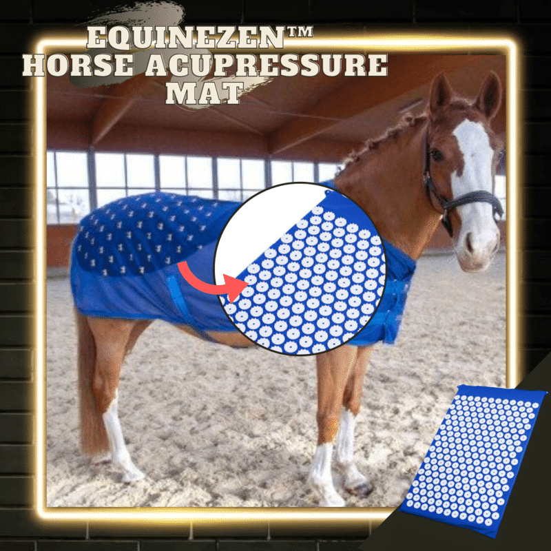 EquineZen Horse Acupressure Mat