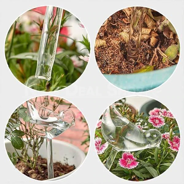 Self-Watering Plant Glass Bulbs