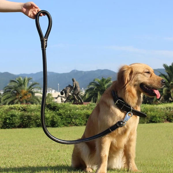 2-in-1 Rolled Leather Dog Collar & Leash