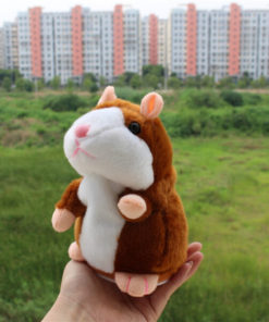 Cute Talking Hamster