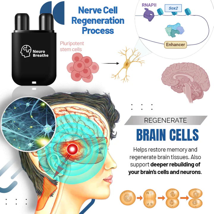 NeuroBreathe Neuro-Regenerative Inhaler