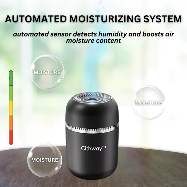 Cithway Heating & Humidifying Device