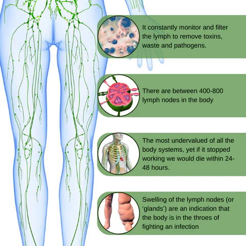 SlimTech LymphDrainage Leg Massager