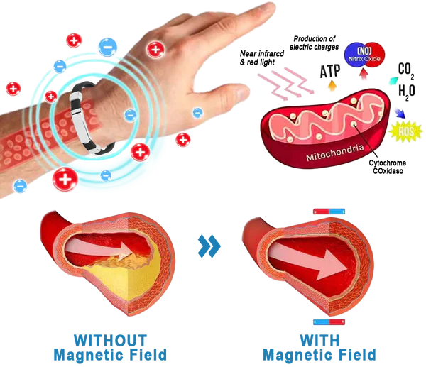 CZTICLEŽ Blood Pressure Regulator Bracelet