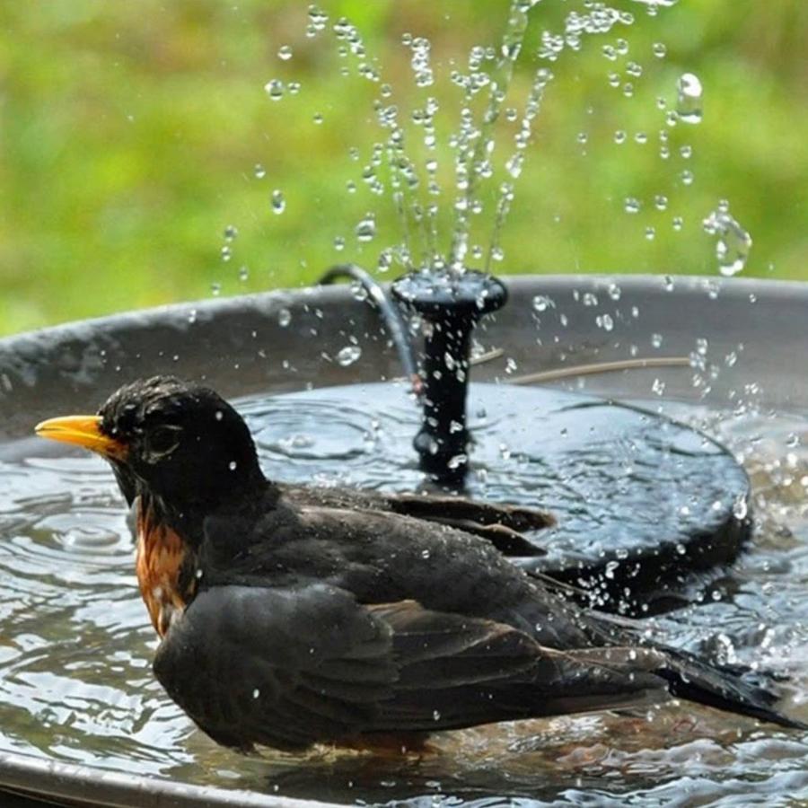 Solar Powered Bird Bath Fountain Kit