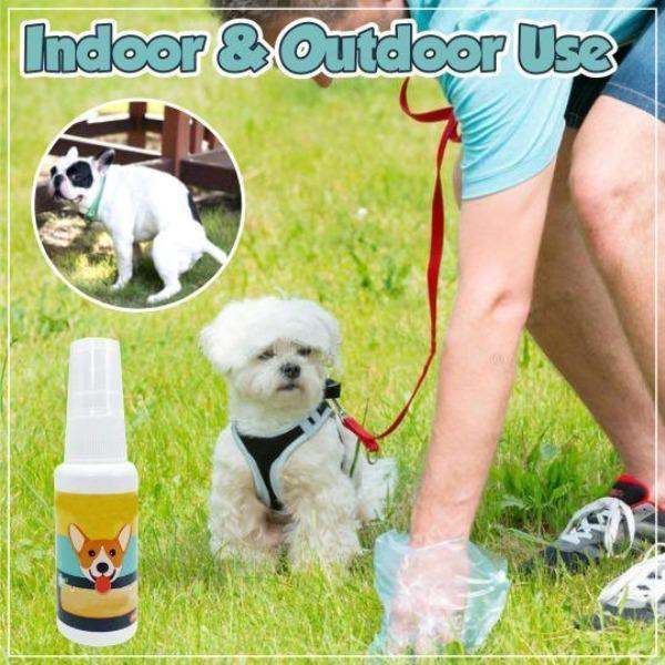 Pet Toilet Training Aid