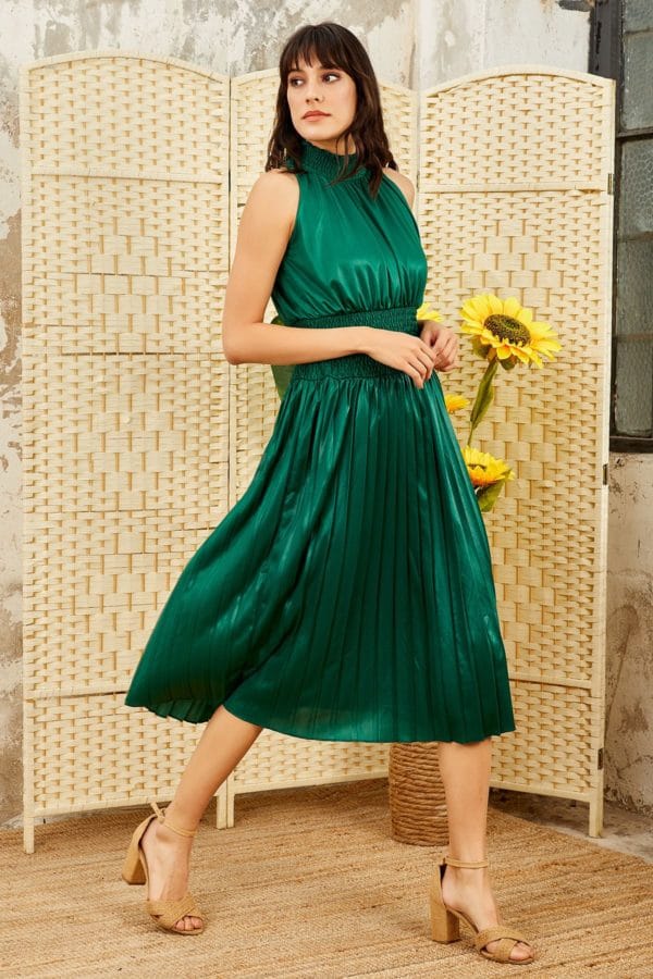 Waist Pleated Dress