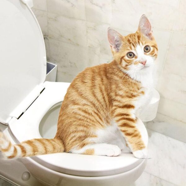 Muscle Simple Cat Toilet Trainer